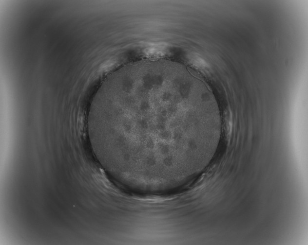 X0000087620619200704271400