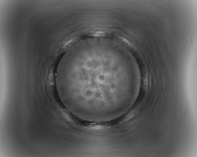 X0000087620620200704271400
