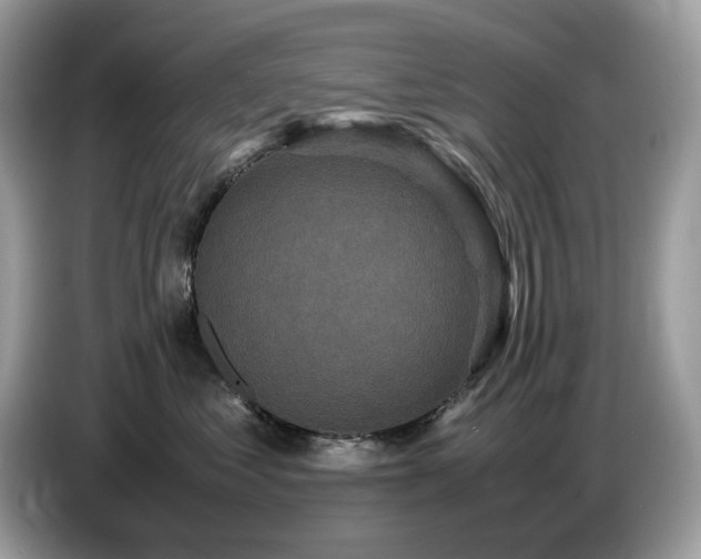 X0000087620621200704271400