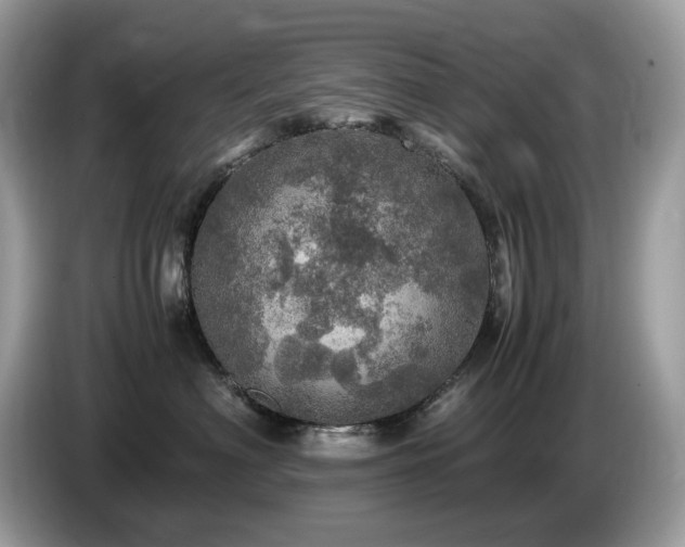 X0000087620622200704271400