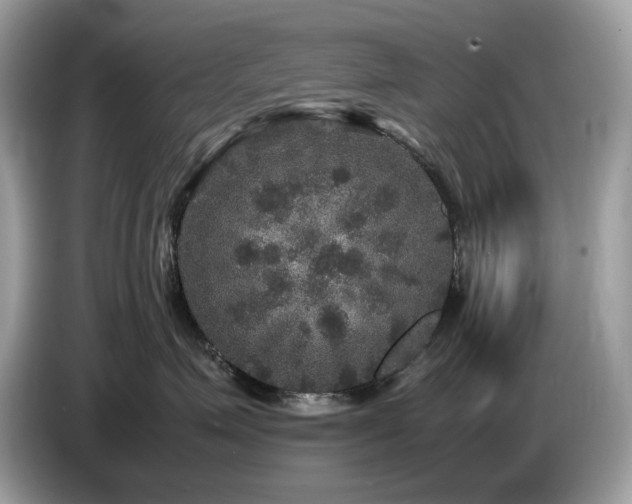 X0000087620623200704271400