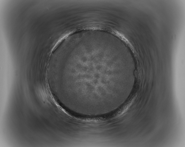 X0000087620625200704271359