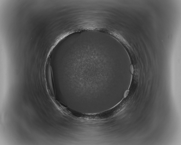 X0000087620626200704271359