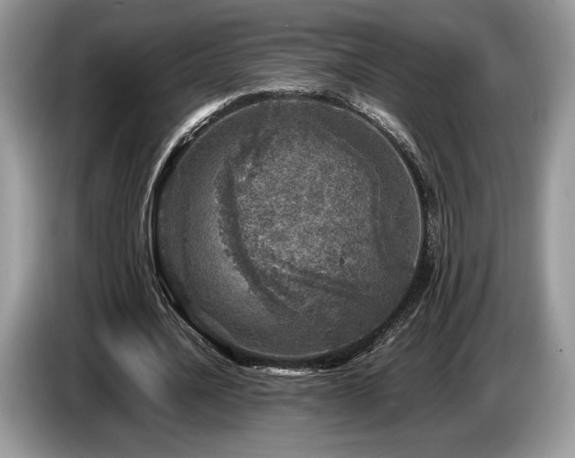 X0000087620628200704271359