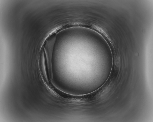 X0000087620629200704271359