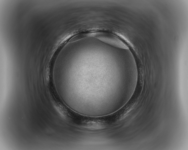X0000087620631200704271359