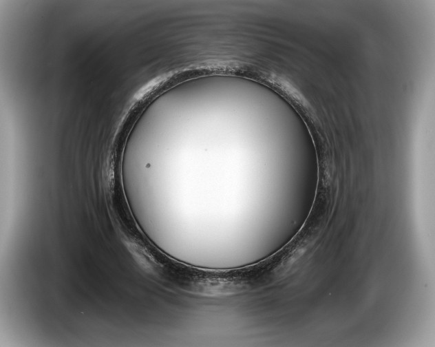 X0000087620632200704271359