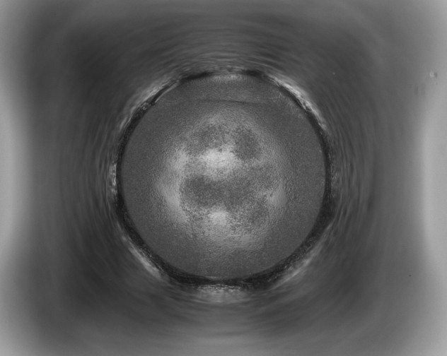 X0000087620633200704271359
