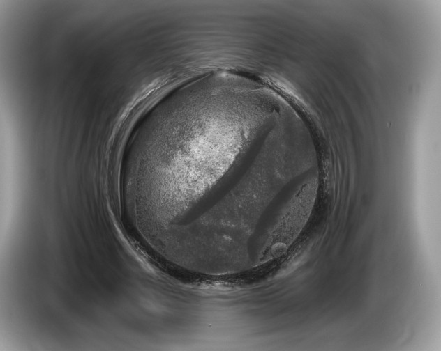 X0000087620634200704271359