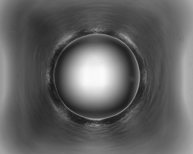X0000087620635200704271359