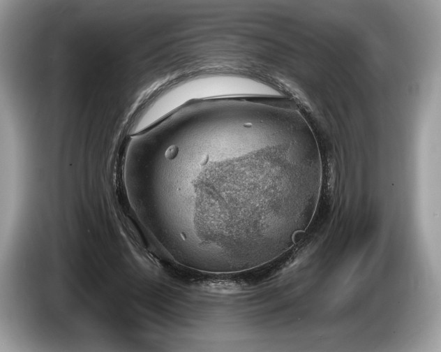 X0000087620636200704271359