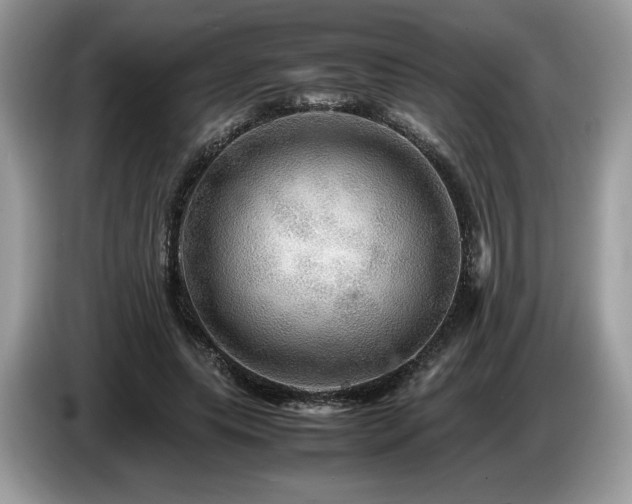 X0000087620639200704271359