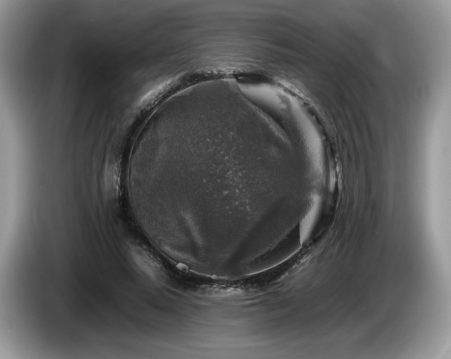 X0000087620640200704271359