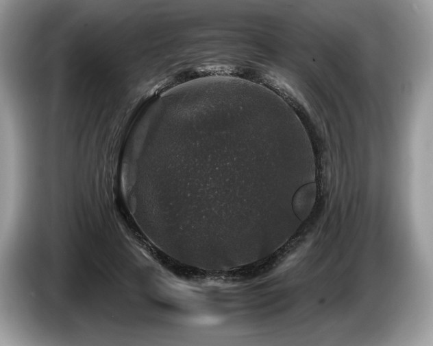 X0000087620641200704271359