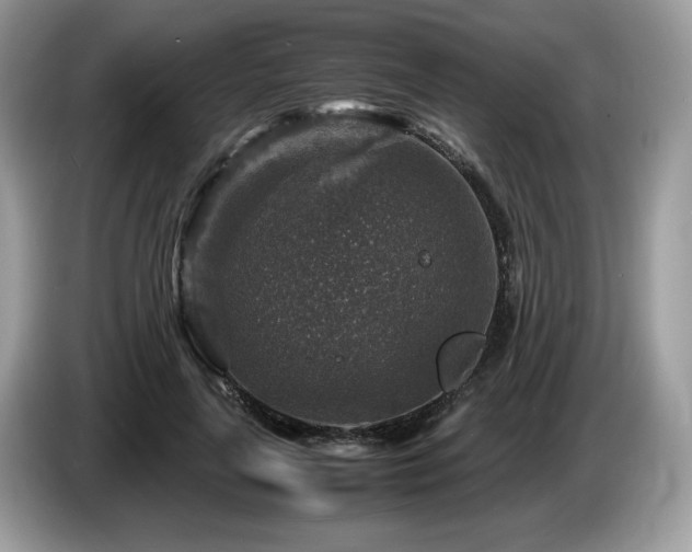 X0000087620643200704271359