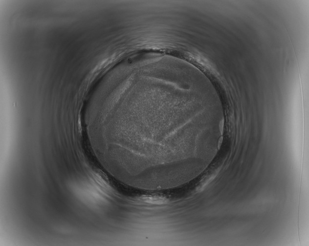 X0000087620644200704271359