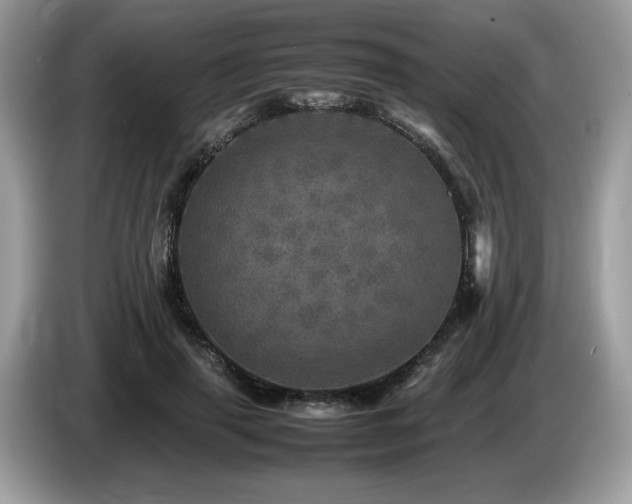 X0000087620645200704271359