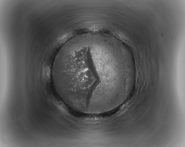 X0000087620646200704271359