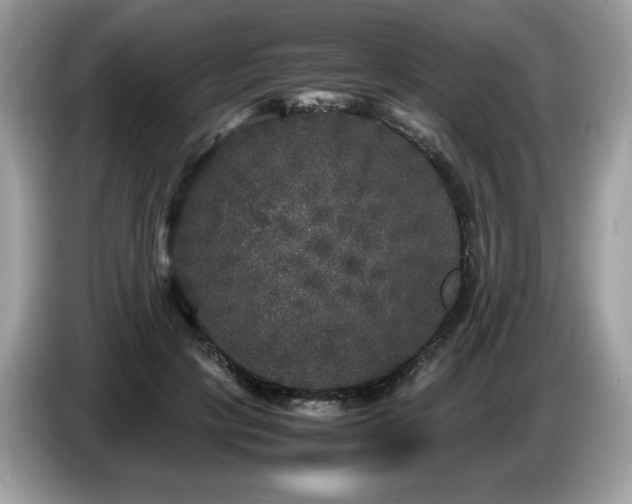 X0000087620649200704271359