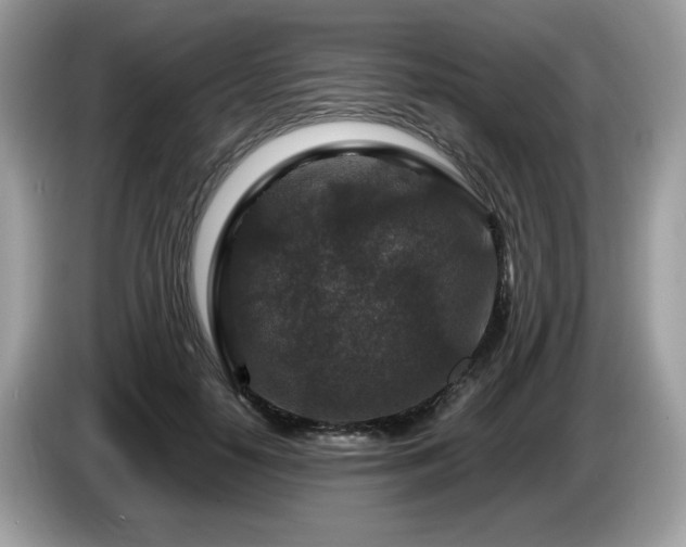 X0000087620650200704271359