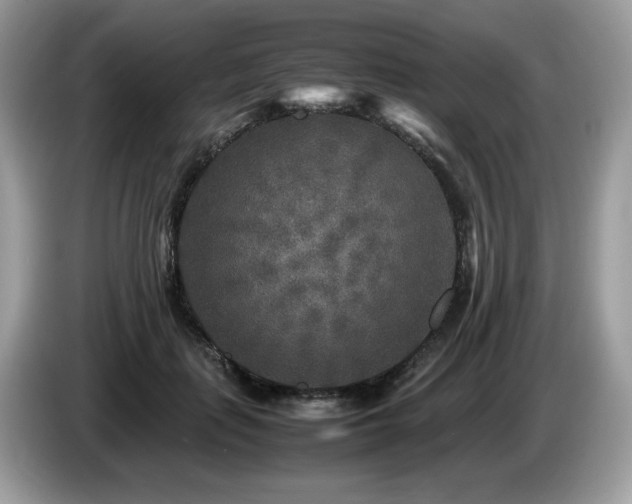 X0000087620651200704271359