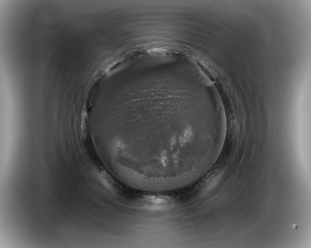 X0000087620654200704271359