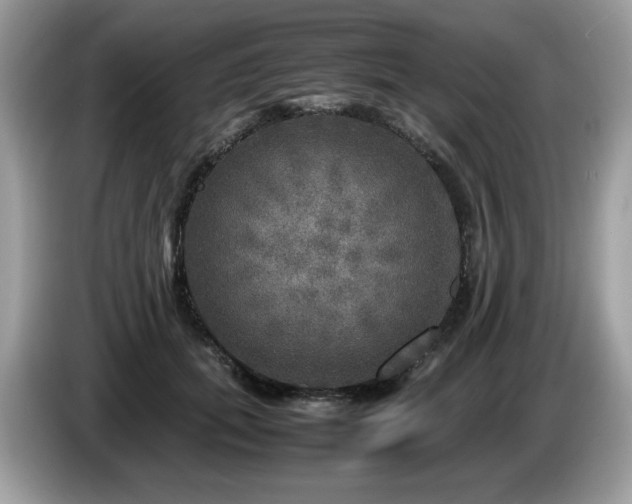 X0000087620655200704271359