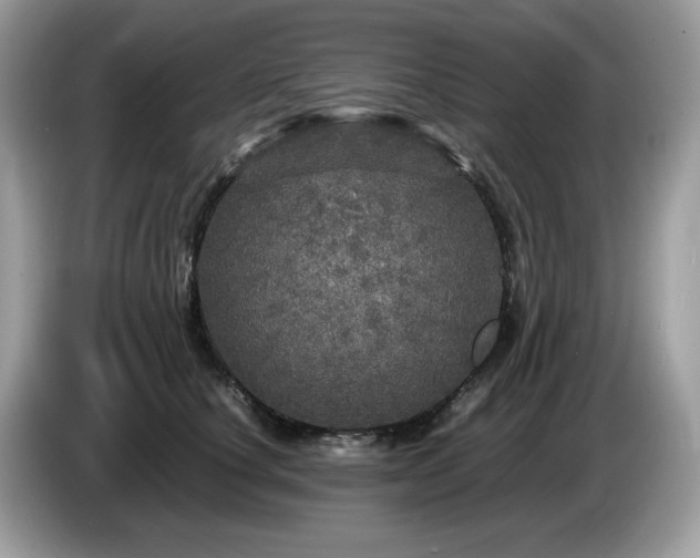 X0000087620660200704271359
