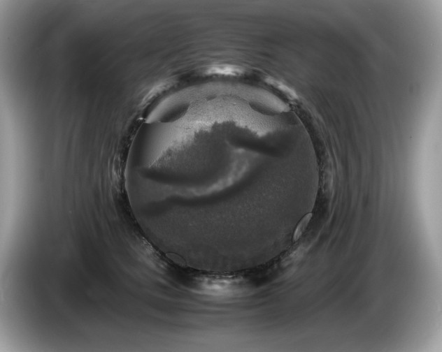 X0000087620661200704271359