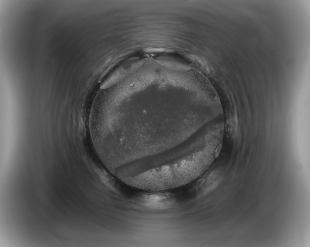 X0000087620662200704271359