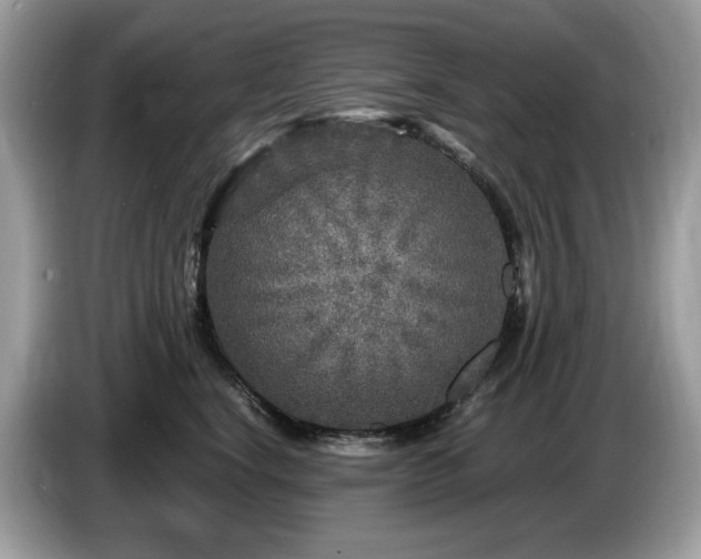 X0000087620664200704271359