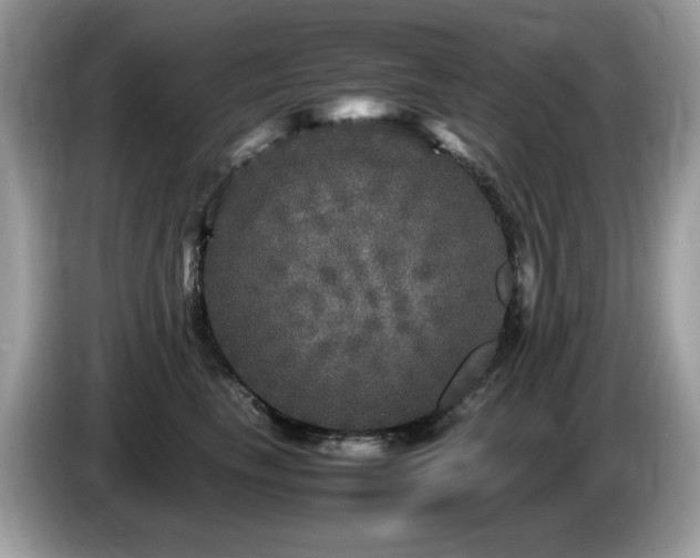 X0000087620665200704271359