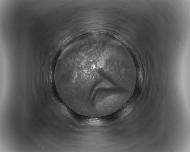X0000087620668200704271359