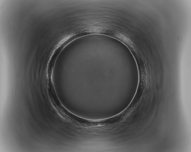 X0000087620674200704271359