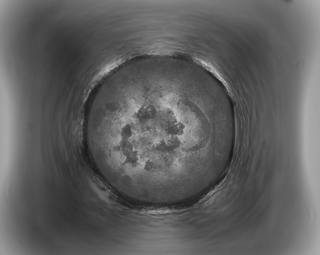 X0000087620675200704271359