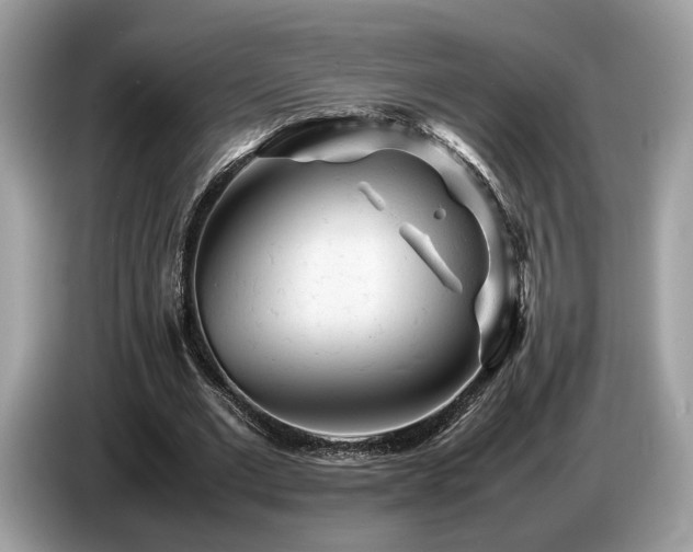 X0000087620677200704271359