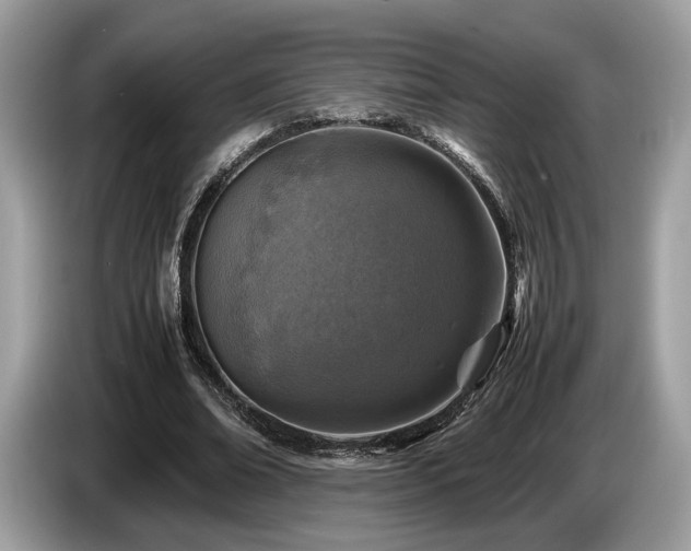 X0000087620678200704271359