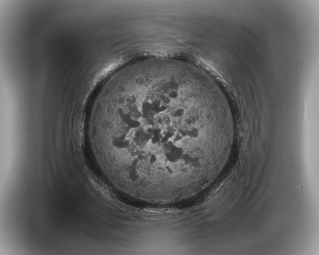 X0000087620679200704271359
