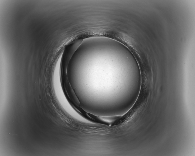 X0000087620681200704271359