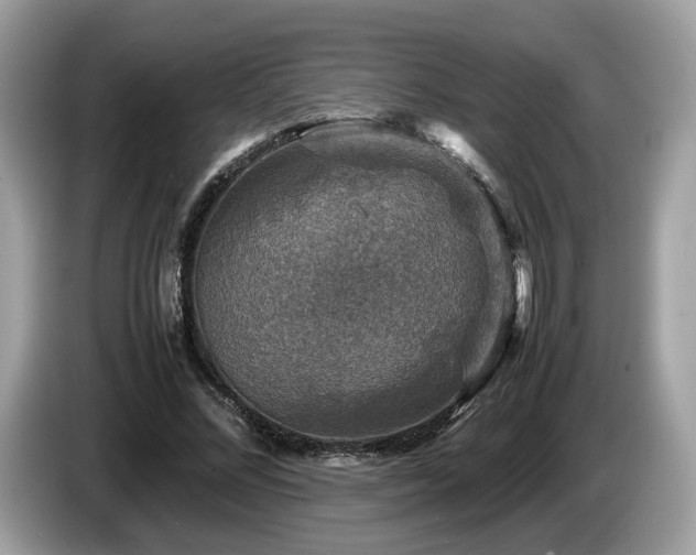 X0000087620684200704271359