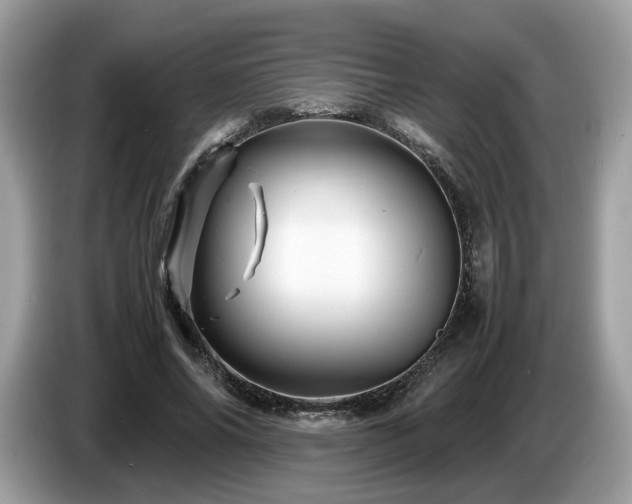 X0000087620686200704271359