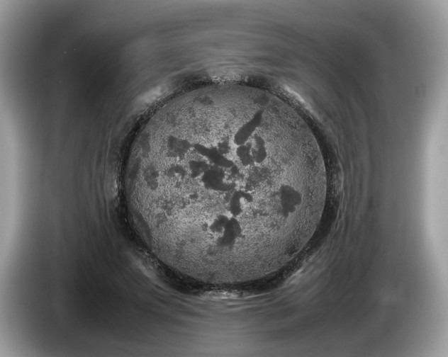 X0000087620687200704271359