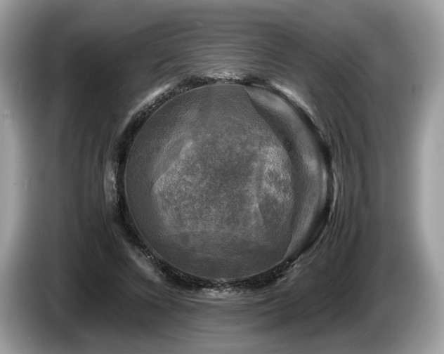 X0000087620688200704271359