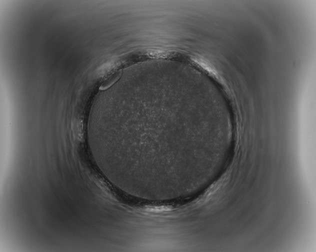 X0000087620689200704271359