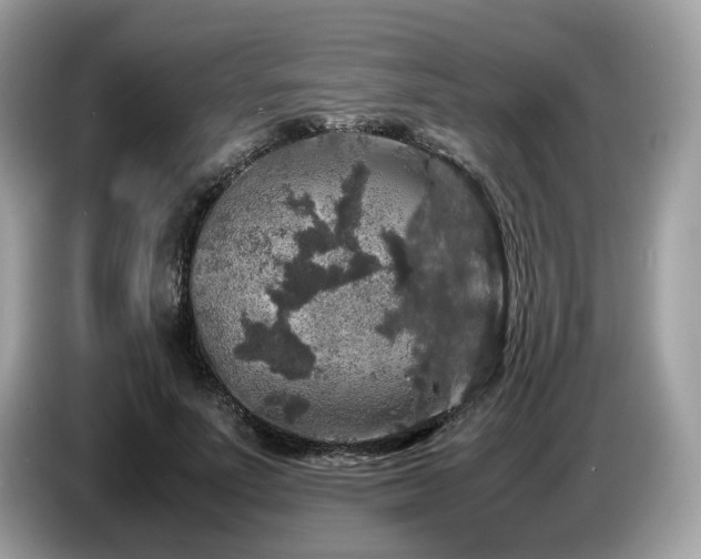 X0000087620691200704271359