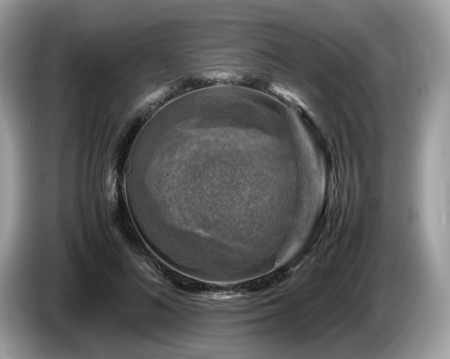 X0000087620692200704271359