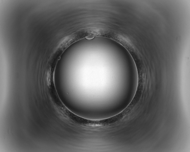 X0000087620694200704271359