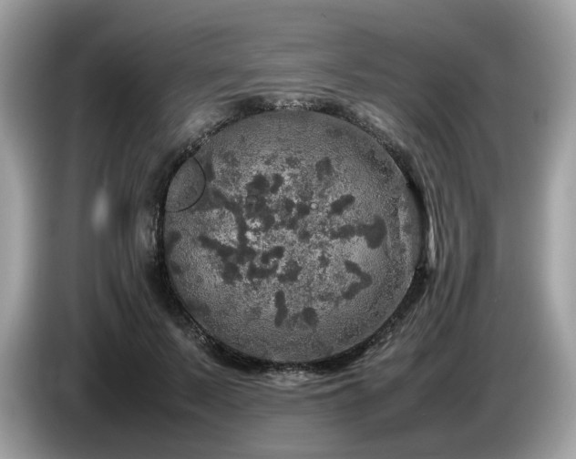 X0000087620695200704271359