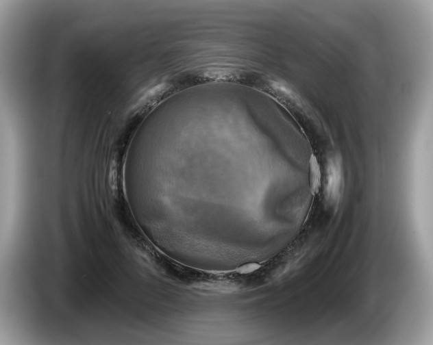 X0000087620696200704271359
