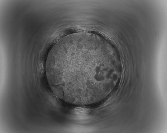 X0000087620699200704271359